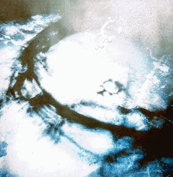 Oathbreaker : Amenra - Oathbreaker